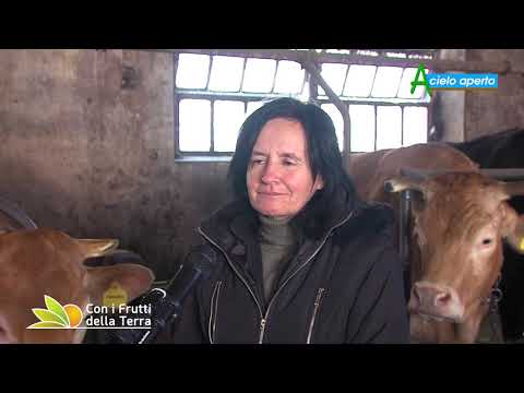 Puntata del 7/2/21 – 2° parte – Il recupero dell'ottonese