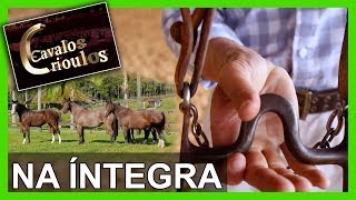 Miniatura do vídeo