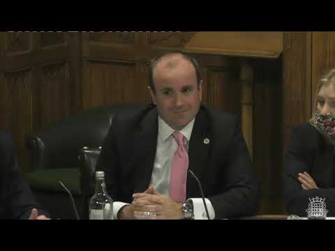 Jacob Rees-Mogg, Transparency, Voting By Proxy & House Business - Procedure Committee, 10.01.22