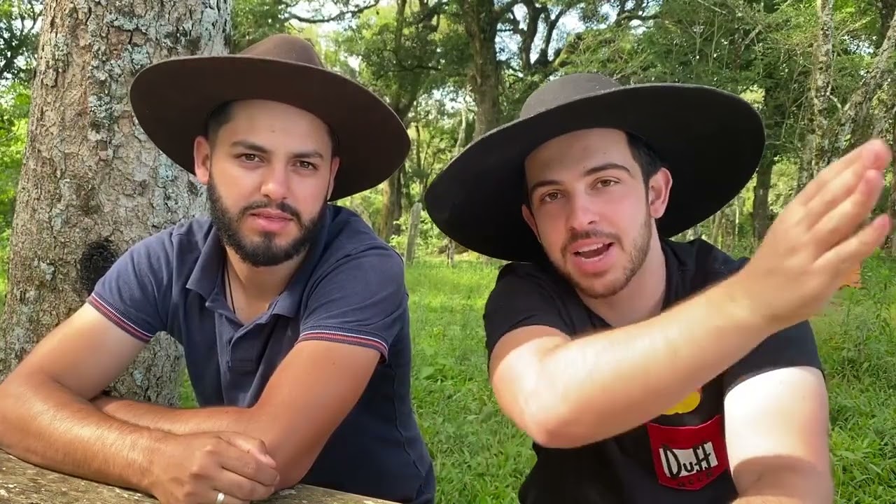 Dicionário Gaúcho vs Dicionário Paranaense