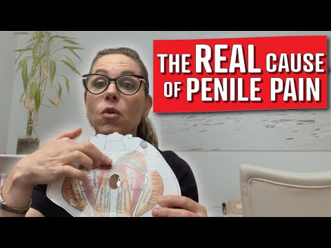 Understanding Penile Pain: How Pelvic Floor Dysfunction Could Be the Root Cause