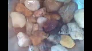 "Das Wasser lebt" | Anton, 7. JG