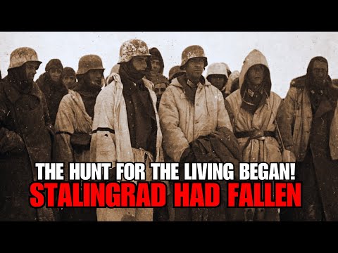 Stalingrad Had Fallen: The Hunt for the Living Began