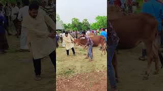 Download lagu #funny #cuteboy mp3