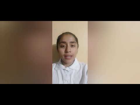 Sistemas y sustratos energéticos