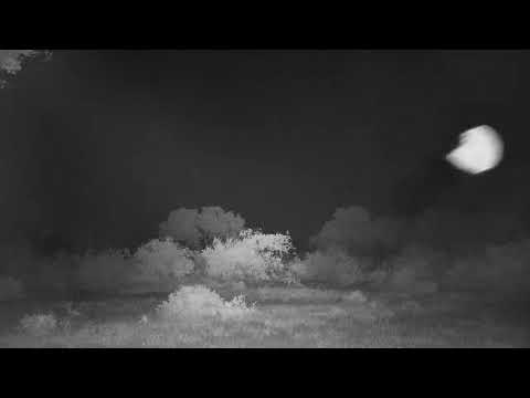 Djuma: Storm in the distance  - 00:57- 12/15/20