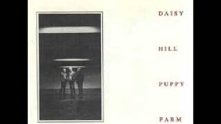 Daisy Hill Puppy Band - Heartbreak Soup