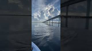 Download lagu Strike diatas boat kecil🐬fishing mania🐬mancing ambyar🐬fishing strike #fishing#mancing#shorts mp3