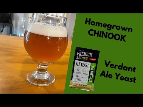 2021 Harvest Ale with Verdant IPA Yeast and Chinook Hops