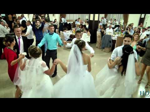 Daniel Dogaru & Formația - De joc  - Nunta Alexandra si Petru Full HD 2016