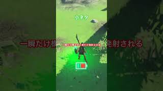 【 #ゼルダの伝説ティアーズオブザキングダム 】盾ロケット小ネタ