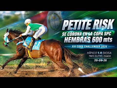 PETITE RISK-Copa Challenger Spc Hembras- Hipico la Diosa- Tres isletas Ch.
