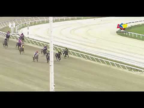 Copa Confraternidad 2022 - El De Froix (VEN)