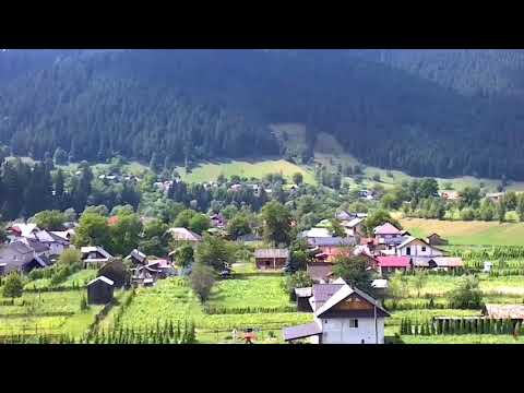 Satul Pârâul Carjei și împrejurimi...