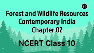 Forest and Wildlife Resources 01 I NCERT Class 10 I Contemporary India Chapter 02 Part 01 | English
