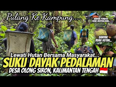 NEKAT!! PULANG KE KAMPUNG DAYAK, LEWATI HUTAN KALIMANTAN BERSAMA MASYARAKAT SUKU DAYAK PEDALAMAN 