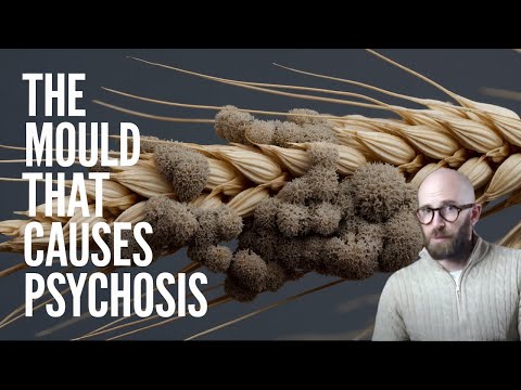 Ergotism: The Real Cause of the Salem Witch Trials?