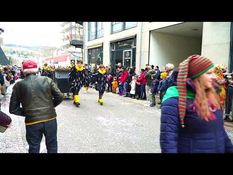 Fasnacht in Lörrach: Großer Umzug 2023/Umzug Highlights Lörrach