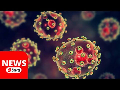 Two cases of Lassa fever an Ebola-like virus have been detected in the UK after 13 years| #shorts