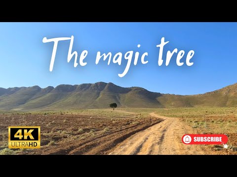 IRAN Vlog - This is the Iran's Loneliest Tree 🌳 Firuzkuh Road