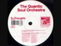 Quantic Soul Orchestra - Raw Ingredients (nostalgia 77 remix)