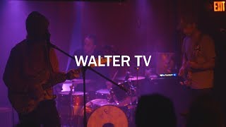 Walter TV - I Wanna Be Adored (Cover)