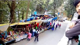 preview picture of video 'Darjeeling Zoo. Padmaja Naidu Himalayan Zoological Park. Part: 1'