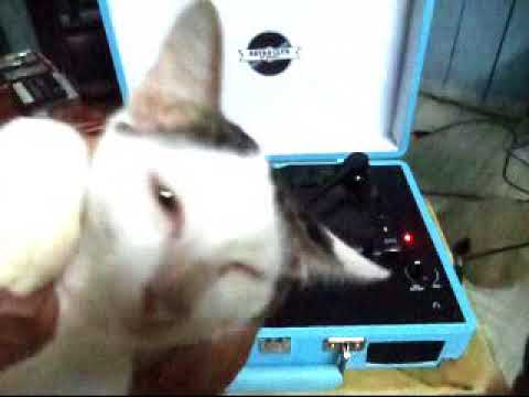 Semina bepangan Enggau Surat Aja - Micheal Jemat