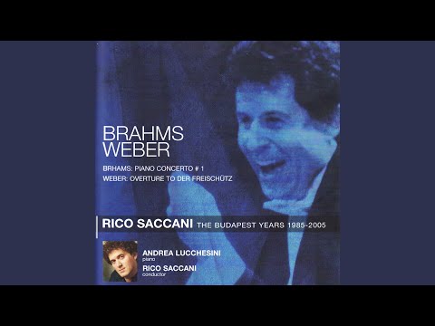 Piano Concerto No. 1 in D Minor, Op. 15: Piano Concerto No. 1: III. Rondo - Allegro non troppo