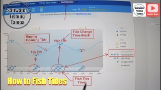 Learn How to Read Fishing Tides and Catch More Fish!