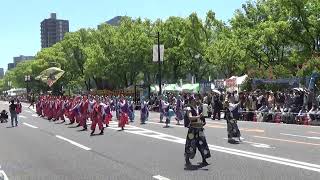 踊り陣 叶和（翼）2回目 2026.05.05 ひろしまフラワーフェスティバル きんさいYOSAKOI