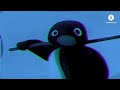 Pingu Outro In Pingu O Oo