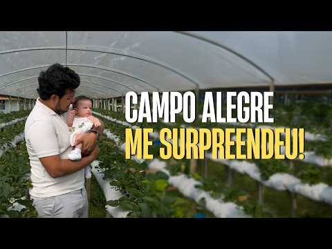 Descobrindo Campo Alegre e São Bento do Sul: Minha Primeira Viagem com a Amora!