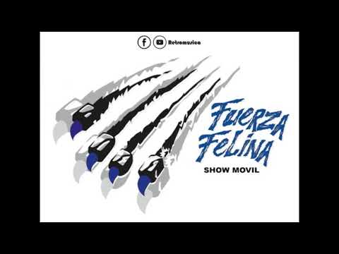 CHANGA FUERZA FELINA