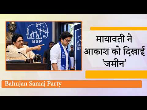 Mayawati ने Akash Anand को BSP से किया आजाद, UP Elections से पहले BSP के फैसले ने सबको चौंकाया
