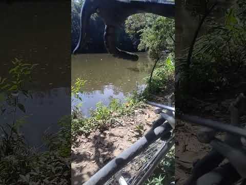 Rio Juquiá Juquitiba São Paulo você conhece esse rio i love Brasil esticando o esqueleto