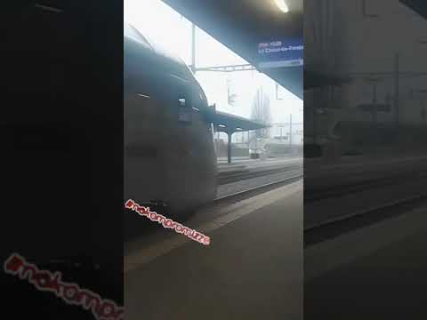 DOZ-ATTAK - stress street-art under ART-AKT 💋 #manifest11