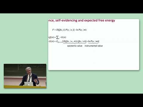 CCN 2019: SE-CC: Challenges and Controversies: The Free Energy Principle