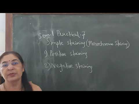 Sem 1,Paper 101,Practical 7 Monochrome Staining