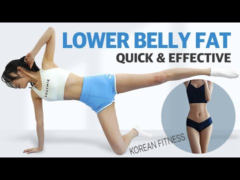 8 MIN LOWER AB WORKOUT ( TINY WAIST ) l Seated & Quiet l Beginner Friendly l K-POP IDOL BODY SHAPE