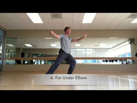 Yang Style Tai Chi 13 Form