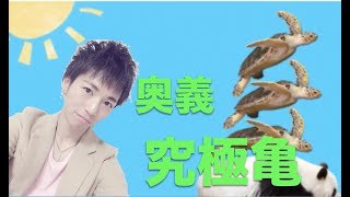 【動物タワーバトル】ガチゲーマーがコツ・勝ち方を初心者でも分かるように解説！！