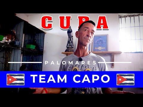 PALOMAR TEAM CAPO. La Guinera. HABANA