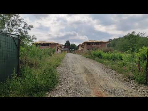 Vilele lui Costel Alexe de la Bârnova