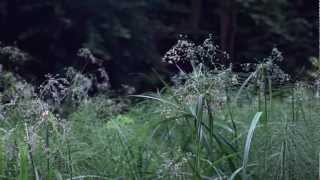 Dude York - And Andrew Too