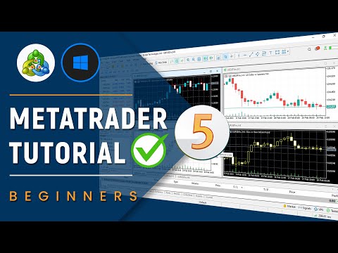  How to Install MetaTrader 5 MT5 on PC Laptop Windows 11 10 2024