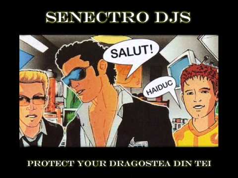 Senectro Djs - Protect Your Dragostea Din Tei