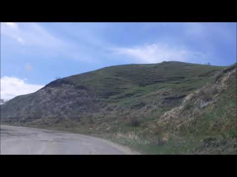 POIANA MARULUI BISOCA BUZAU 2020 FLORIN PANAIT