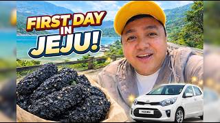 FIRST DAY in JEJU ISLAND | Where to Stay in Jeju | Café & Local Experience | South Korea Travel Vlog