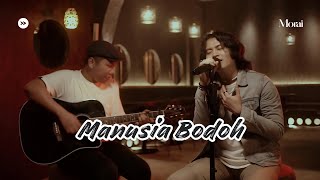 Download lagu Manusia Bodoh - Ada Band | Cover By Morai ft. Hendra mp3 Download lagu Manusia Bodoh - Ada Band | Cover By Morai ft. Hendra mp3